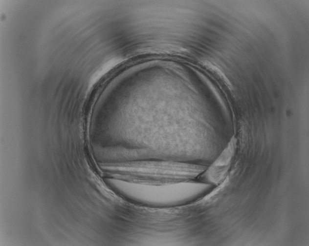 X0000088411114200706191415