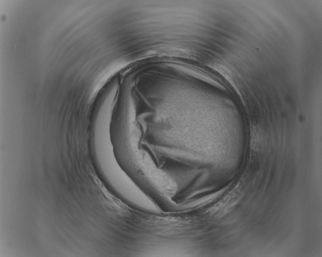 X0000088411115200706191415