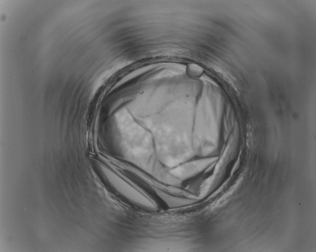 X0000088411117200706191415