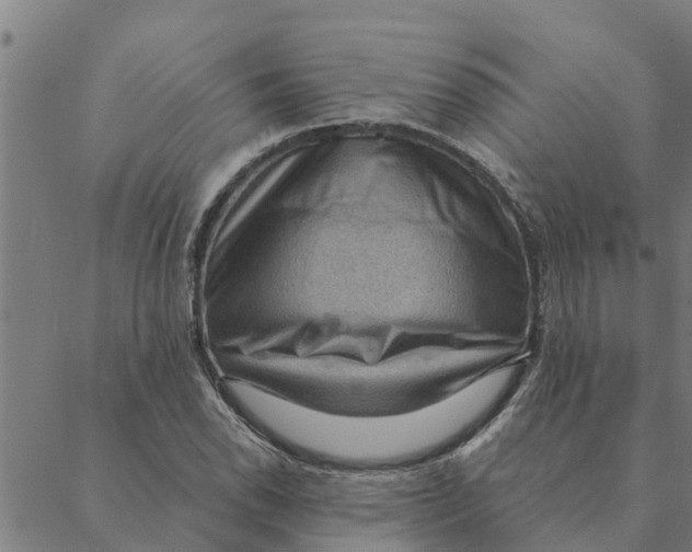 X0000088411118200706191415