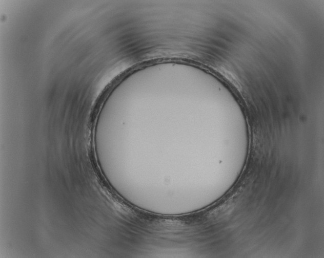 X0000088411119200706191415