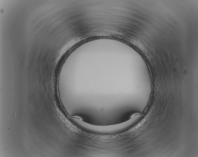 X0000088411122200706191415