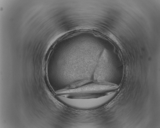 X0000088411124200706191415