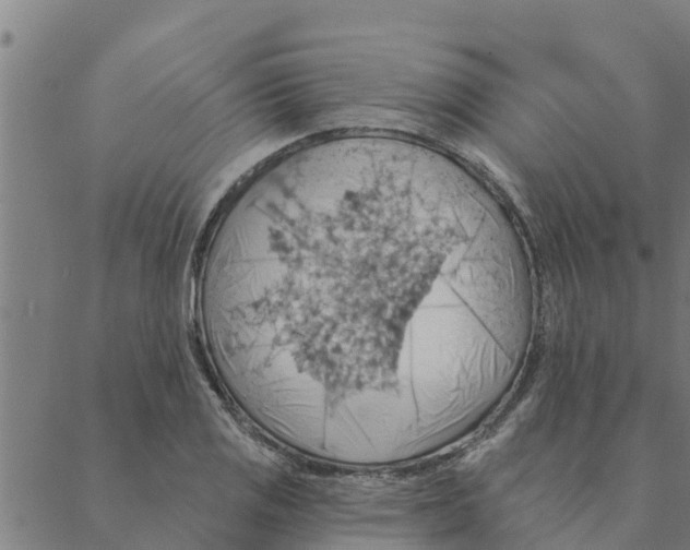 X0000088411125200706191415