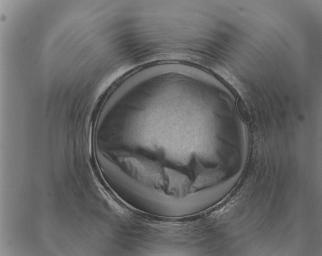 X0000088411127200706191416