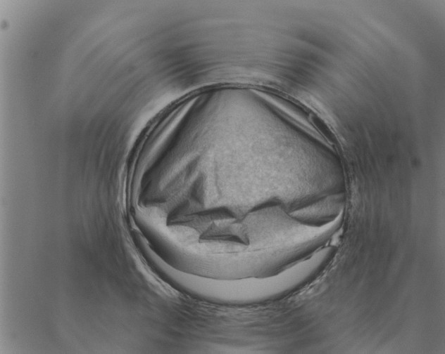 X0000088411128200706191416