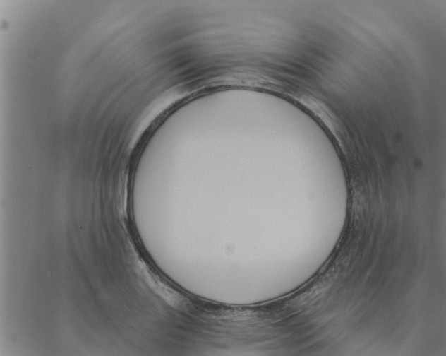 X0000088411131200706191416