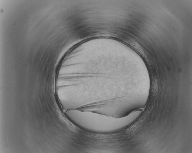 X0000088411132200706191416