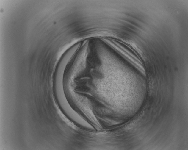 X0000088411134200706191416