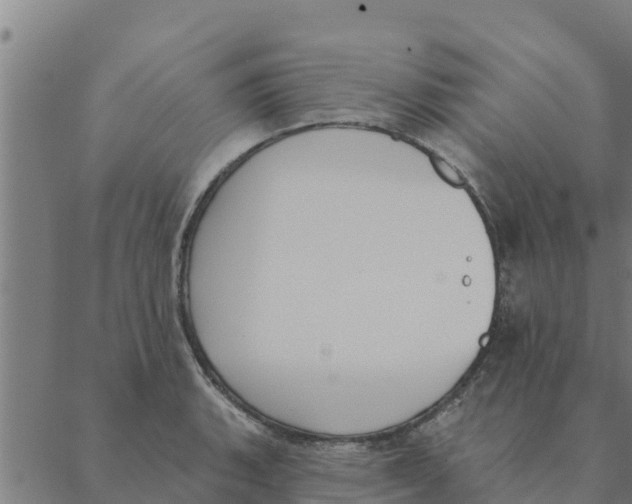 X0000088411135200706191416