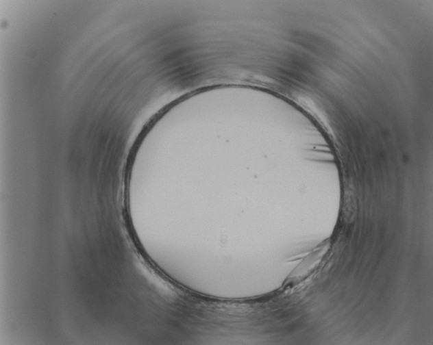 X0000088411136200706191416