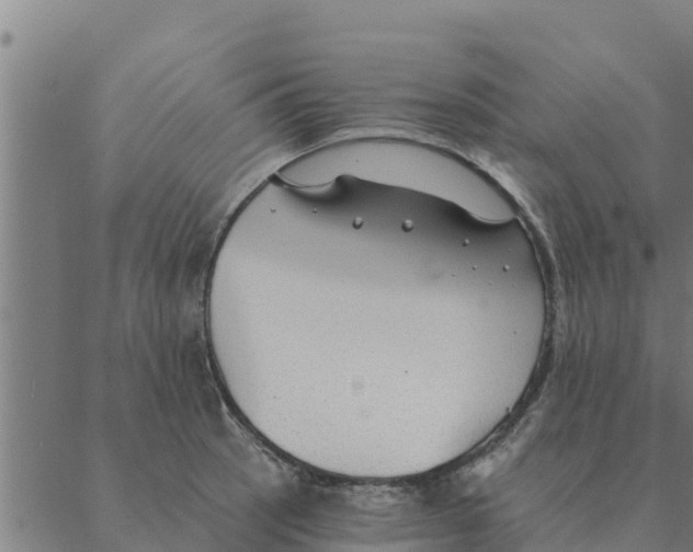 X0000088411137200706191416