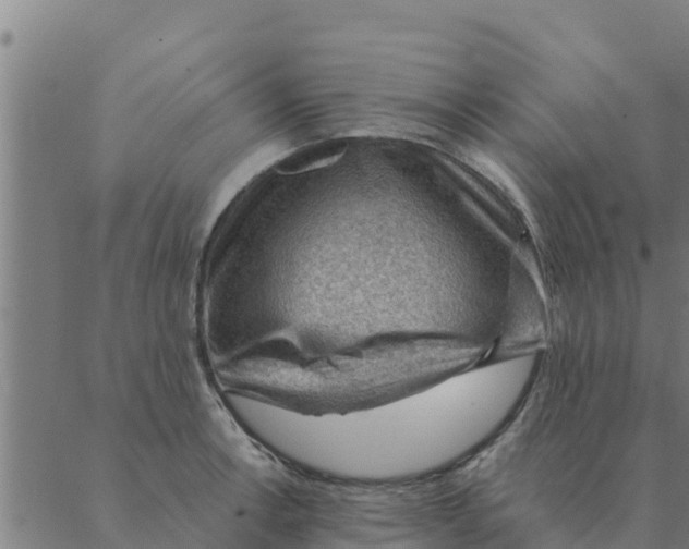 X0000088411138200706191416