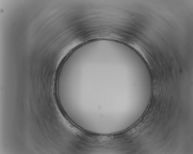 X0000088411139200706191416