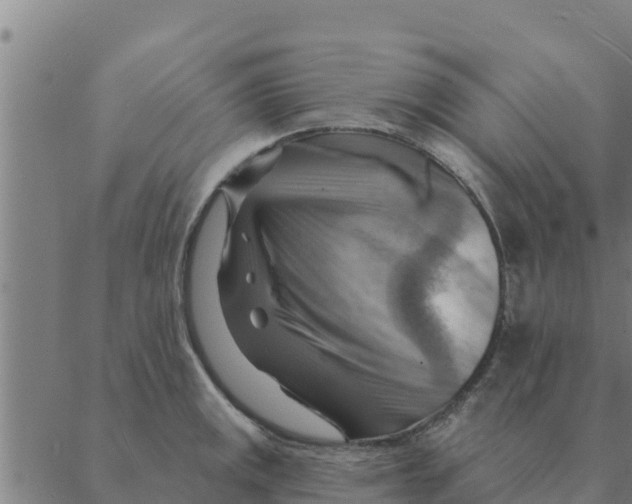 X0000088411141200706191416