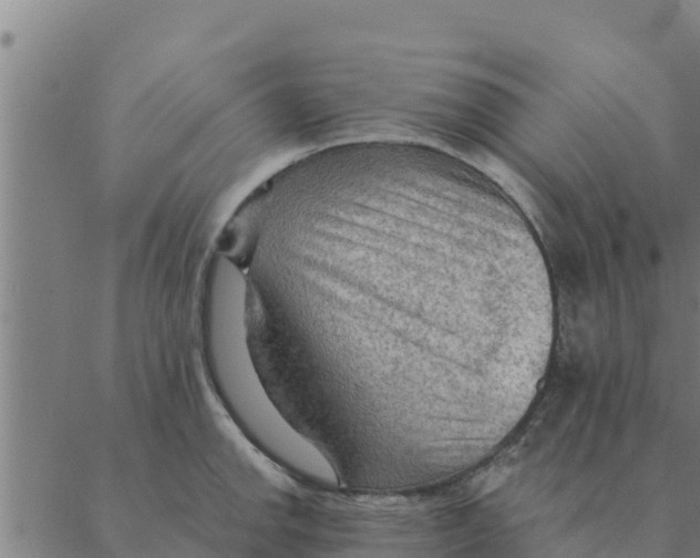 X0000088411142200706191416