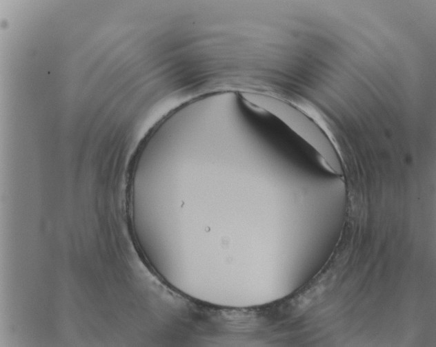 X0000088411147200706191416