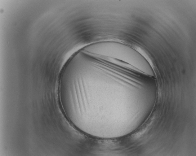 X0000088411149200706191416