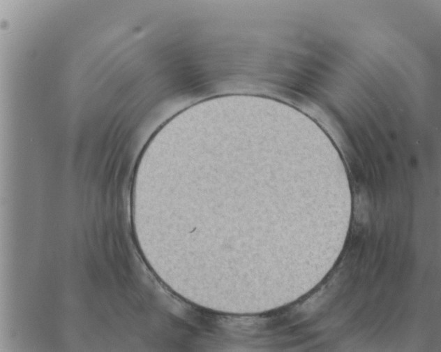 X0000088411150200706191416