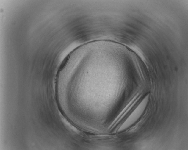 X0000088411151200706191416