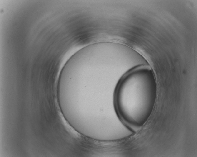 X0000088411152200706191416