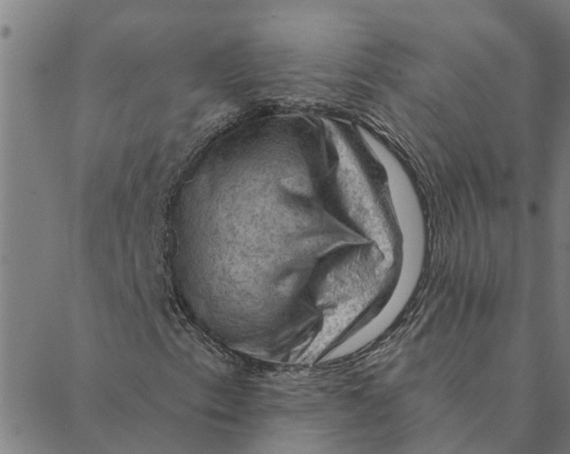 X0000088411153200706191415