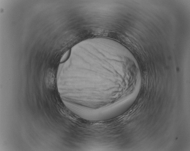 X0000088411154200706191415