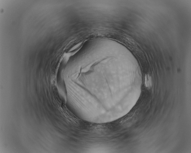 X0000088411155200706191415