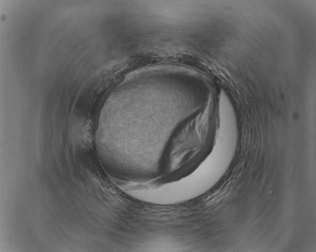 X0000088411156200706191415