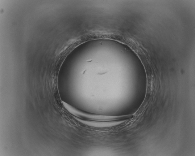 X0000088411157200706191415