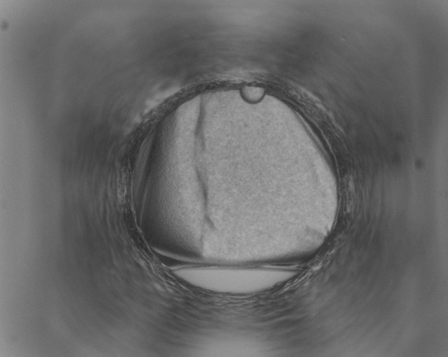 X0000088411158200706191415