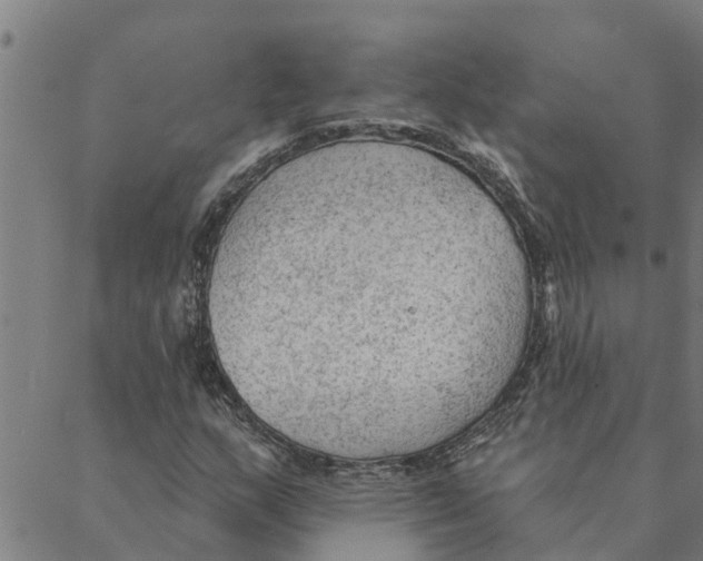 X0000088411159200706191415