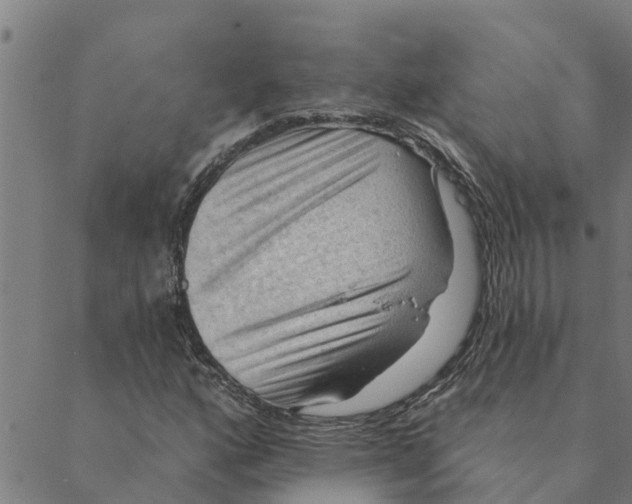 X0000088411160200706191415