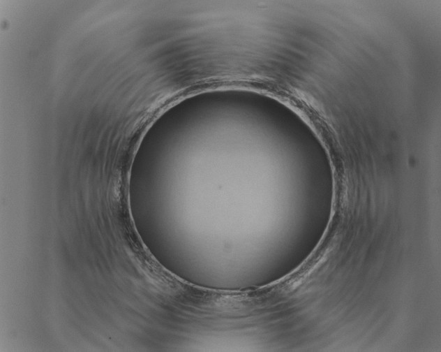 X0000088411161200706191415