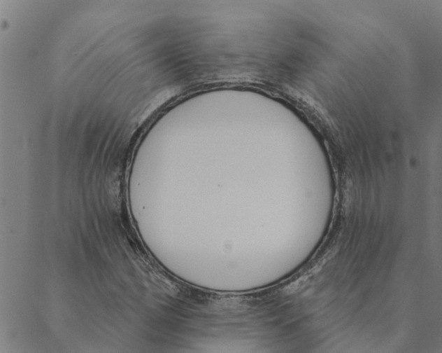 X0000088411162200706191415