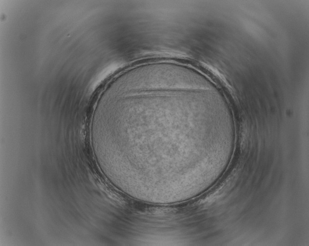 X0000088411163200706191415