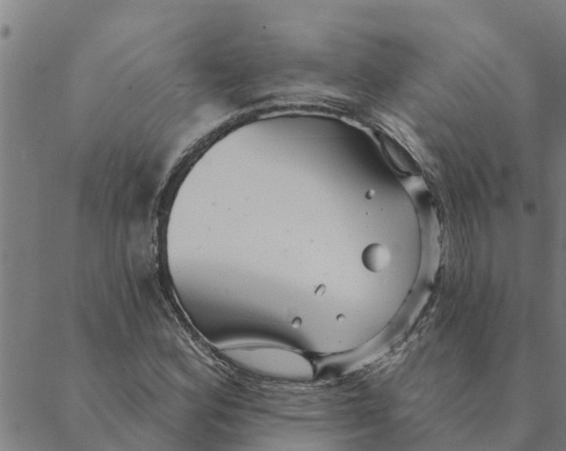 X0000088411164200706191415