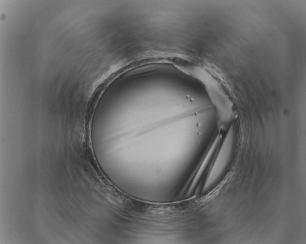 X0000088411165200706191415