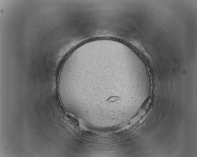 X0000088411167200706191415