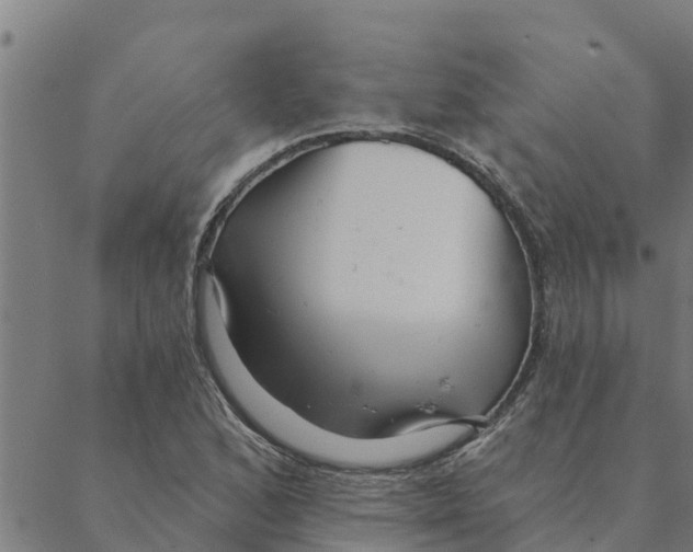 X0000088411168200706191415