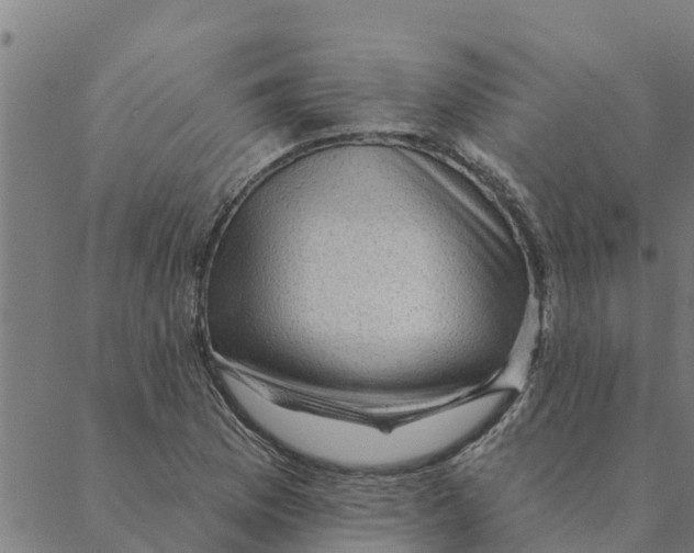 X0000088411169200706191415