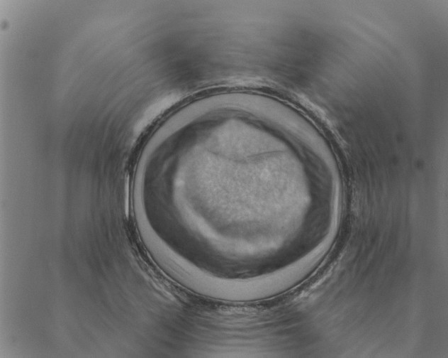 X0000088411171200706191415