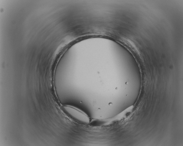 X0000088411172200706191415