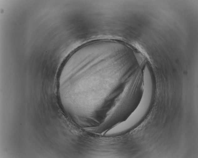 X0000088411173200706191415