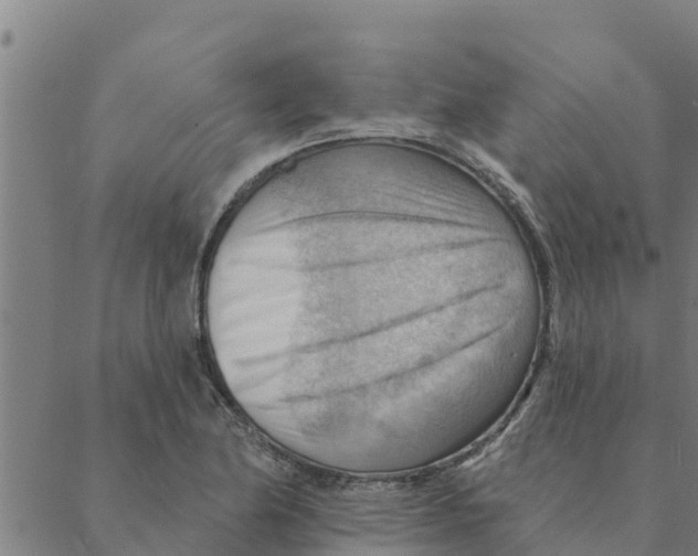 X0000088411174200706191415