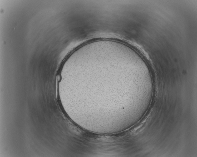 X0000088411175200706191415