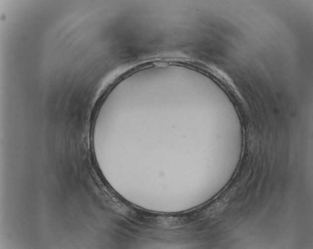 X0000088411176200706191415