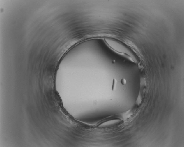 X0000088411177200706191415