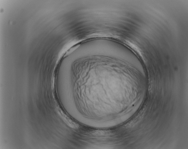 X0000088411179200706191415