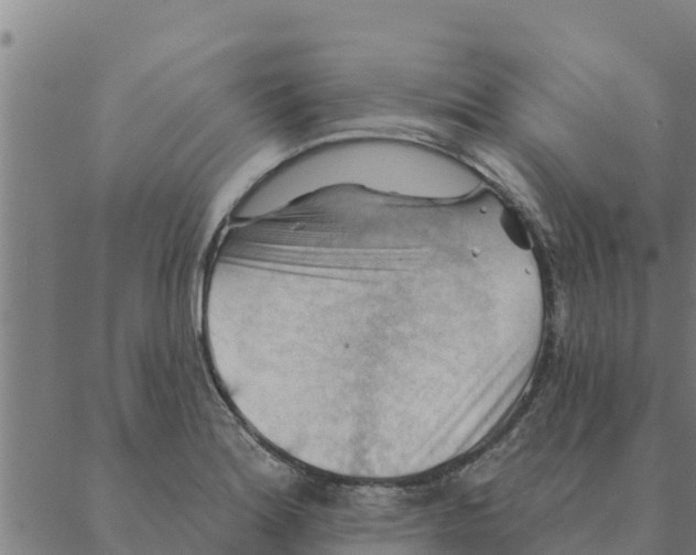 X0000088411180200706191415